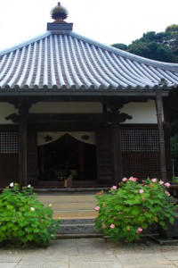 橘寺の経堂320×480