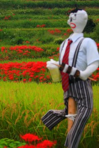 彼岸花と案山子640×960