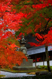 開山堂横にある石塔と紅葉640×960