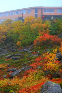 美しい紅葉とホテル千畳敷の建物640×960