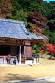 正暦寺の本堂と紅葉640×960