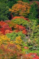 談山神社南山荘からの紅葉320×480