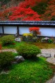 正暦寺福寿院庭園の紅葉320×480
