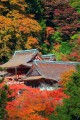 談山神社本殿の建物と紅葉320×480