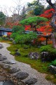 客殿縁側から見る福寿院庭園の紅葉640×960