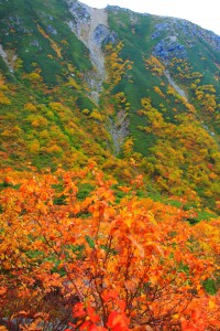 伊那前岳の急斜面640×960