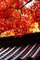 永源寺総門瓦屋根と紅葉320×480