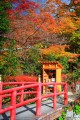 談山神社入口付近の紅葉と赤い橋640×960