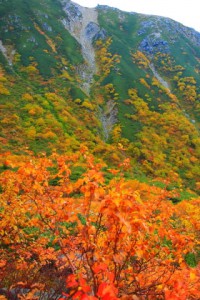 伊那前岳の急斜面320×480