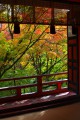 談山神社の東西透廊と紅葉640×960
