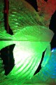 熱帯魚の氷の彫刻640×960