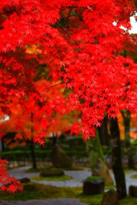 開山堂前庭を違った角度から640×960