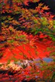 朱塗りの壁と紅葉の色320×480