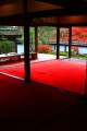 福寿院客殿の奥から見た風景640×960