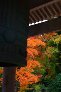 鐘楼の鐘と紅葉320×480