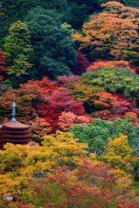 談山神社十三重塔と紅葉320×480