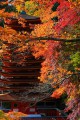 談山神社十三重塔と紅葉320×480