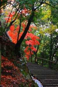 永源寺へ向かう参道640×960