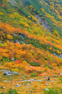 千畳敷の紅葉の散策路を歩く人640×960