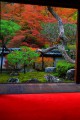 客殿から見る福寿院庭園の紅葉320×480