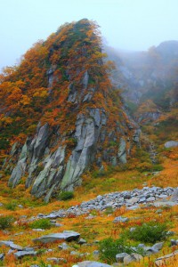 急峻な崖の木々の紅葉640×960