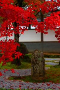 開山堂付近の廊下の白壁と庭園紅葉640×960