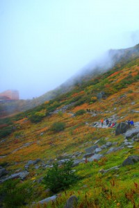 登山道と分岐するあたりから640×960