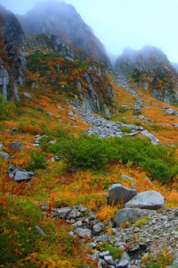 幻想的なガスがかかる山頂付近640×960