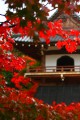紅葉の木と鐘楼640×960
