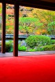 赤い毛氈と福寿院の庭園640×960