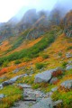 アルプスの岩峰群と千畳敷の遊歩道320×480