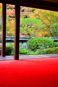 赤い毛氈と福寿院の庭園320×480