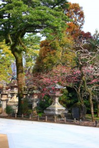 北野天満宮の境内へ320×480