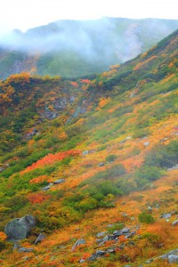 流れる雲と紅葉640×960