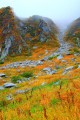 駒ヶ岳に向かう登山道付近640×960