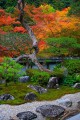 福寿院庭園の美しい紅葉640×960