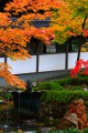 永源寺の庭園の池の辺り640×960