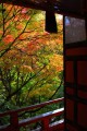 拝殿扉と朱塗りの廊下と紅葉320×480