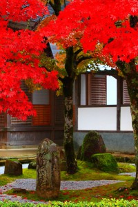 開山堂前庭の紅葉640×960