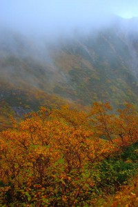 霧の中の急峻な山々640×960