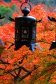 談山神社の燈籠と紅葉640×960