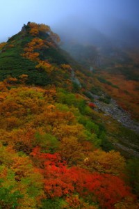 奥に続く紅葉の山々320×480