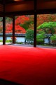 客殿の奥から見た福寿院庭園320×480