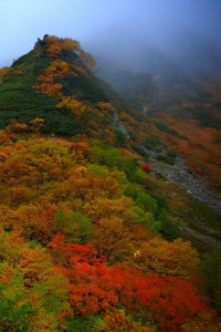 奥に続く紅葉の山々640×960