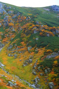 緑や黄色やオレンジの山の斜面640×960