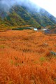 草紅葉と伊那前岳の斜面640×960