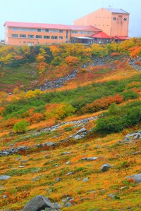 ホテル千畳敷の建物と紅葉640×960