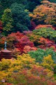 談山神社十三重塔と紅葉640×960