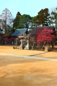 朝の静かな北野天満宮境内320×480