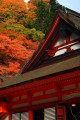 談山神社神廟拝所と紅葉640×960